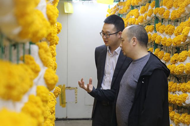 1744269544464085.jpg 1.jpg