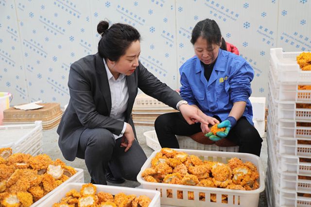 1744269552870478.jpg 2.jpg