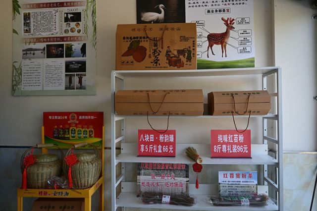 圖2  紅薯粉條成品.jpg