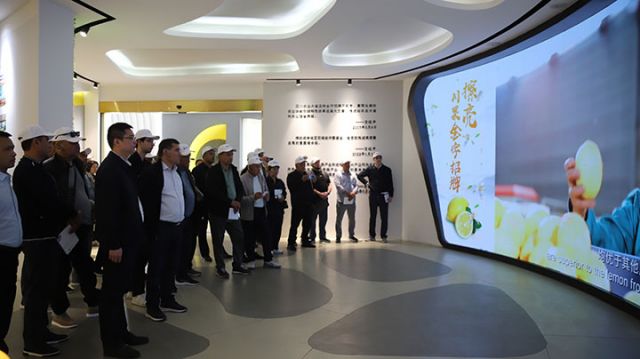 圖1  代表團(tuán)走進(jìn)安岳寶森檸檬展示館。王強(qiáng)  攝.jpg