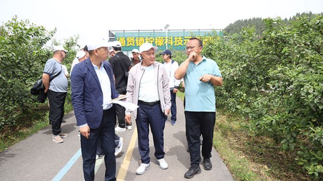 圖2  代表團(tuán)參觀檸檬科技示范園。王強(qiáng)  攝.jpg