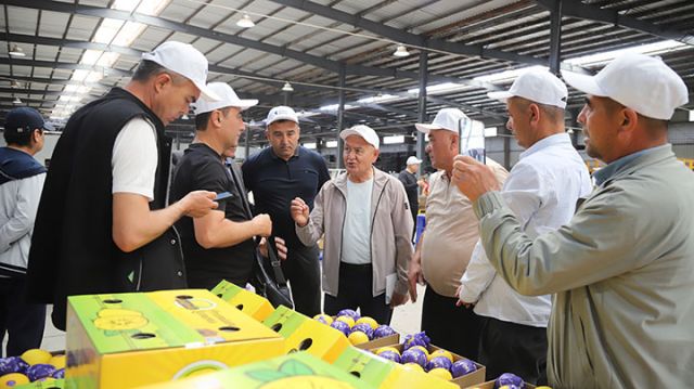 圖3  代表團(tuán)參觀檸檬加工企業(yè)。王強(qiáng)  攝.jpg