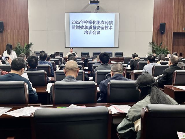 圖1  技術(shù)培訓(xùn)活動(dòng)現(xiàn)場(chǎng) 呂敏  攝.jpg