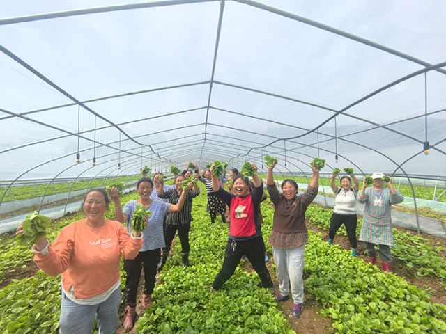 圖2  基地迎來(lái)首次豐收 潘政吉  攝.jpg