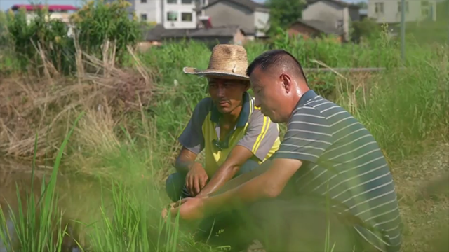 圖2  楊鄧平（右）和老農(nóng)交流  潘政吉  攝.png