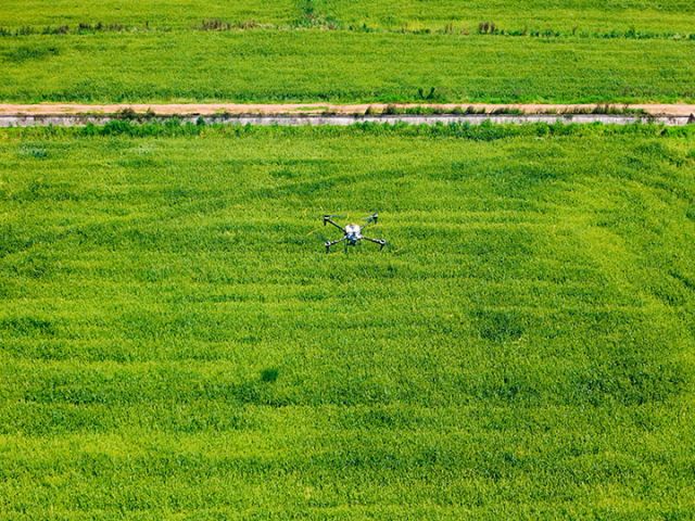 圖6  無人機進行病蟲害防治  劉金林  攝.jpg