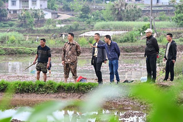 圖3  農(nóng)技人員在再生稻示范園區(qū)里進(jìn)行技術(shù)指導(dǎo).JPG