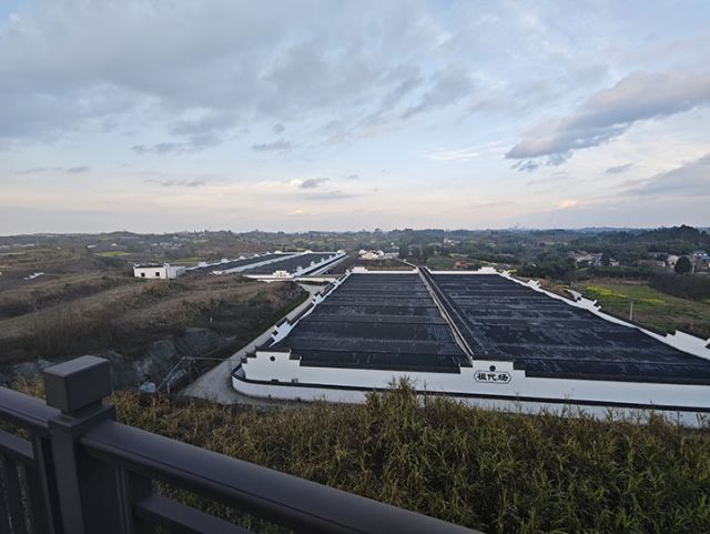 1745893608173656.jpg 3四川恒通內(nèi)江豬保種繁育有限公司全貌.jpg