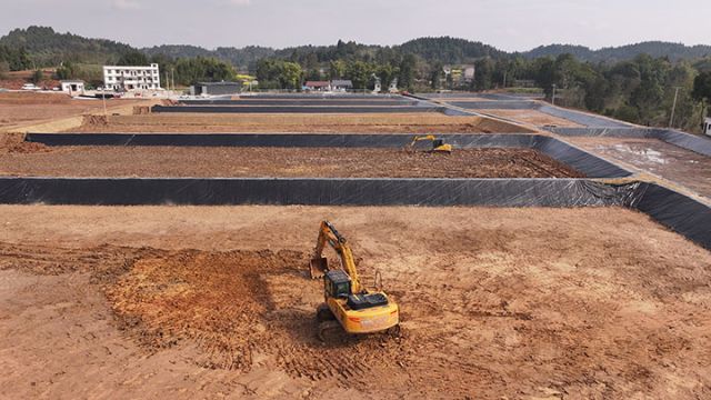 圖2  桂香村南美白對(duì)蝦養(yǎng)殖基地建設(shè)現(xiàn)場(chǎng)。潘政吉  攝.jpg
