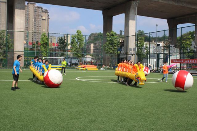 1745981054649975.jpg 2.jpg