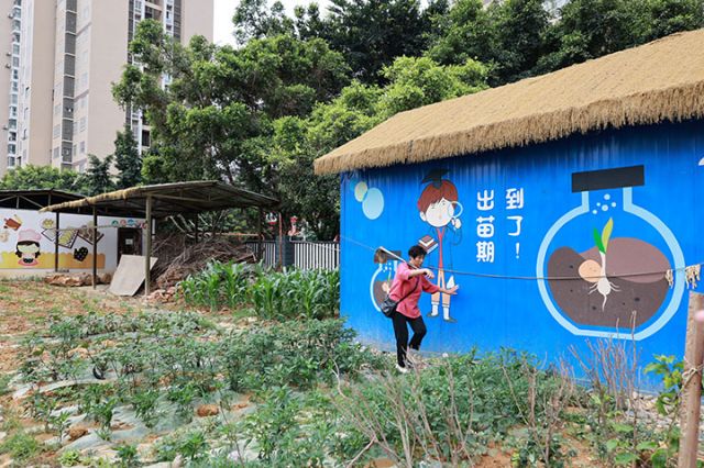 1746520396464433.jpg 3.JPG