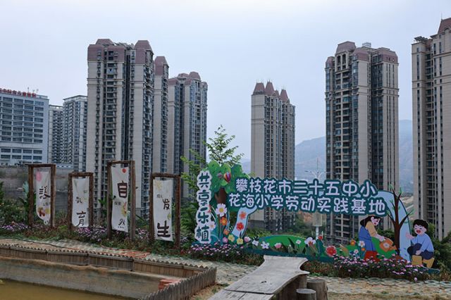 1746520437728634.jpg 1.JPG