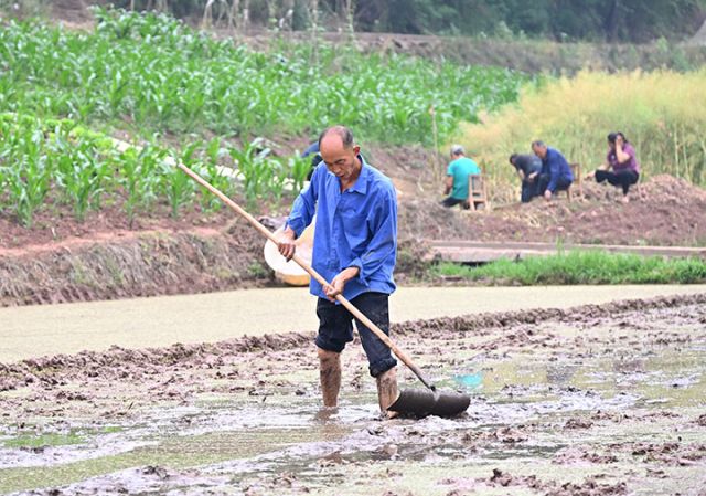 圖3  當(dāng)?shù)卮迕裾谄秸咎?JPG