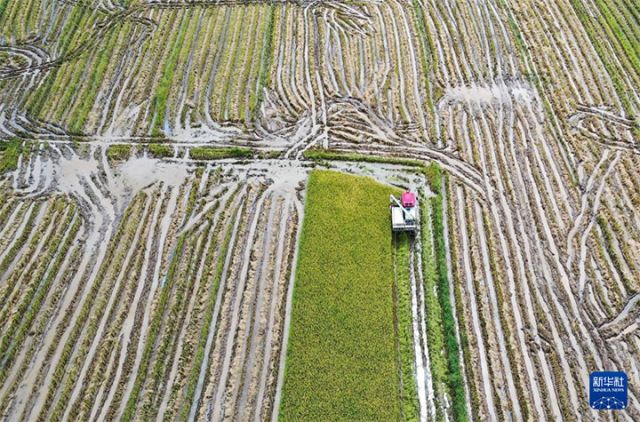 W020250516257587805120 拷貝.jpg