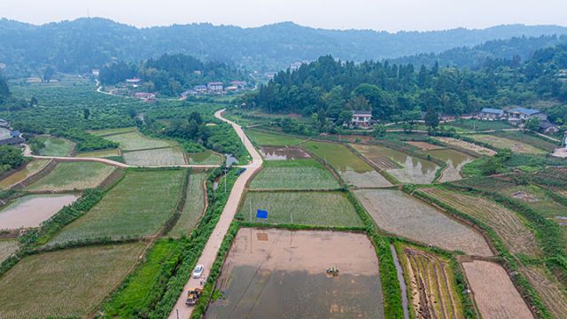圖3  俯瞰秧田風(fēng)景  吳坤忠 攝.jpg