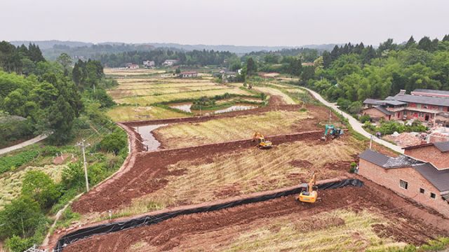 圖3  新華村正在平整中的土地  潘政吉  攝.jpg