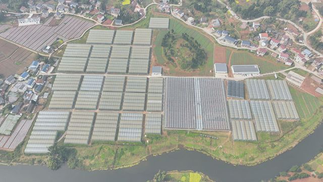 圖2  真南村蔬菜示范基地鳥瞰圖  易奎西攝.jpg