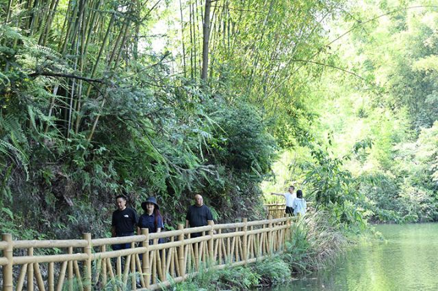 6采訪團(tuán)穿行于翠竹長廊.JPG