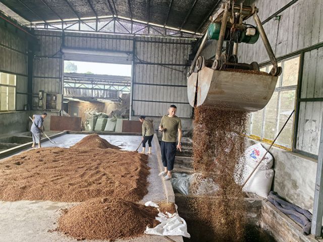 圖1  原料入池培菌發(fā)酵。潘政吉  攝.jpg