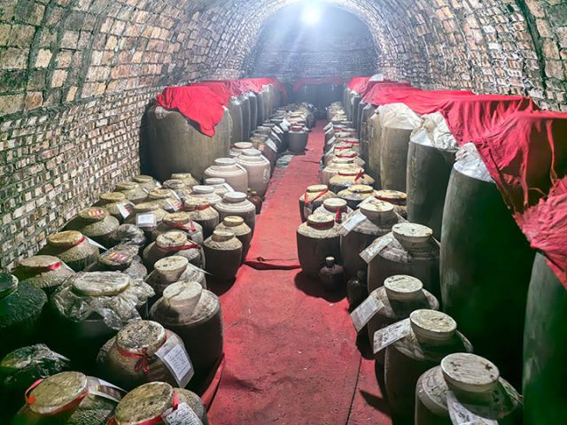 圖2  天然恒溫洞藏。潘政吉  攝.jpg