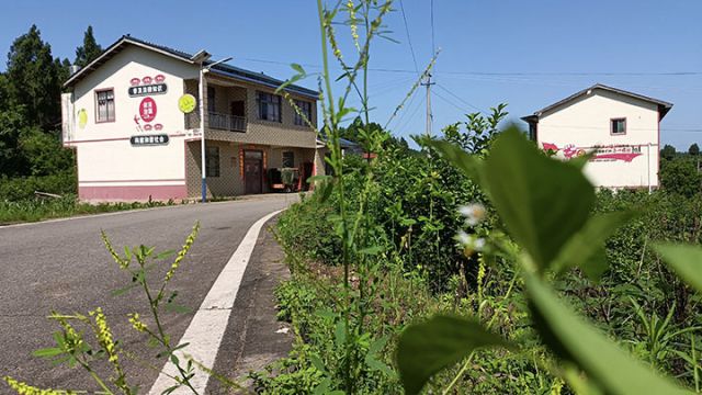 圖1  寬敞道路與整潔民居   文化鎮(zhèn)  供圖.jpg