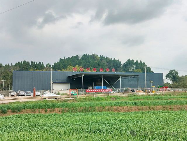 圖2  關(guān)祖蘋電商直播間 受訪者供圖.jpg