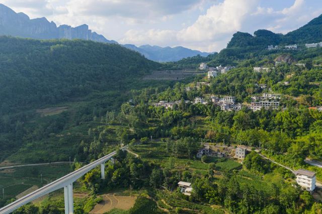 圖5  2025年6月17日在湖北省恩施土家族苗族自治州恩施市沐撫辦事處拍攝的夏日茶園。（無人機(jī)照片）CICPHOTO杜維 攝.jpg