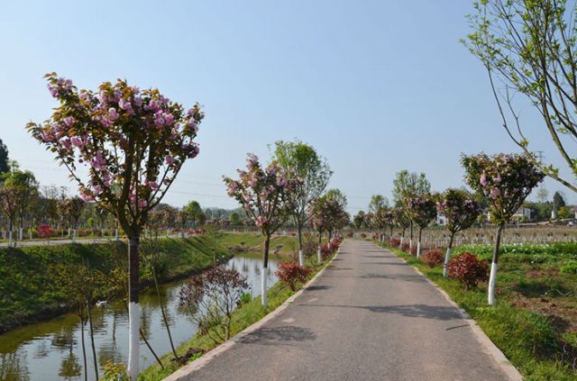 1751012199647809.jpg 圖2 河道景觀.jpg