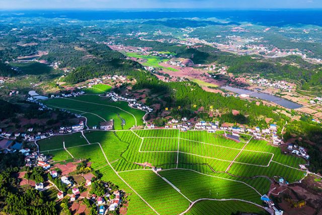 圖2  安岳魅力檸海景區(qū)。中共安岳縣委宣傳部供圖.jpg