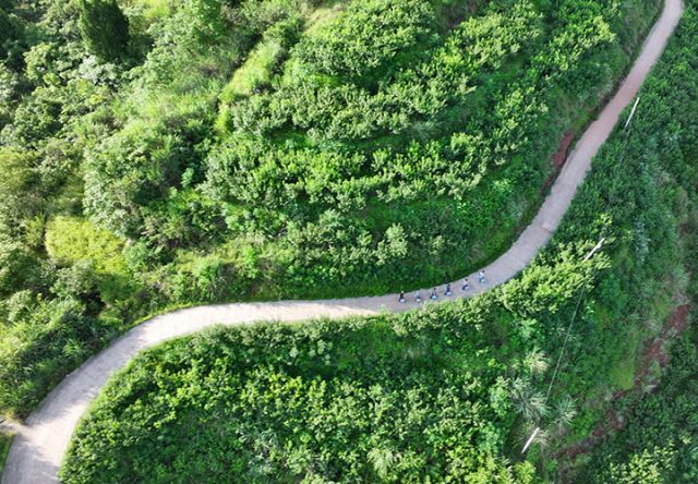 圖3  當(dāng)?shù)鼐用裨谔覉@聚綠色食品種植園采收黃桃.JPG