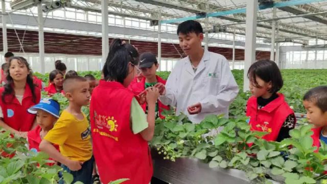 1751535444144836.jpg 1.jpg