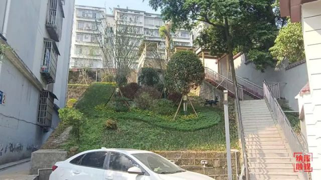 圖3  森林小區(qū)護坡治理。 &nbsp;李梁文 攝.jpg