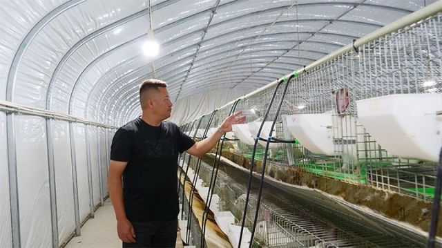 圖1  周澤彬查看兔子生長情況.jpg