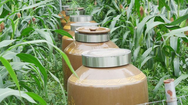 圖2  “堪嘉”酒.jpg