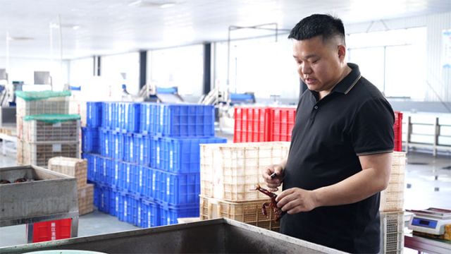 圖2  鄒富文查看小龍蝦.jpg