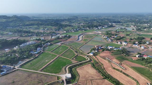 圖3  丹山鎮(zhèn)稻蝦田.jpg