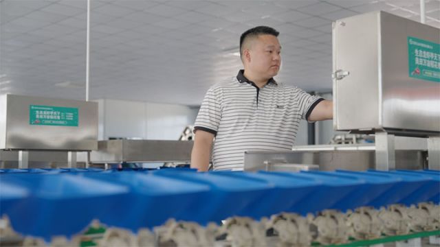 圖5  鄒富文操作全自動(dòng)分揀機(jī).jpg