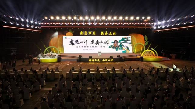 圖3  “安逸四川·安岳之秋”文化和旅游宣傳推廣活動。安岳縣委宣傳部  供圖.jpg
