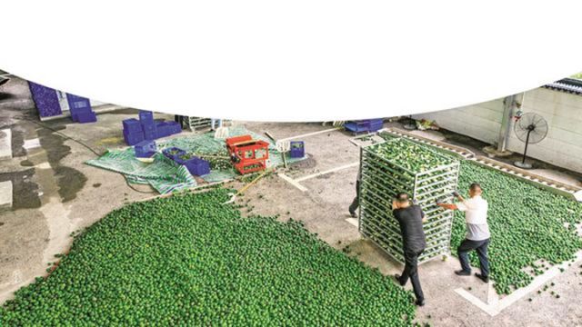 圖2  轉(zhuǎn)運(yùn).jpg