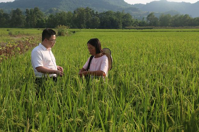 2進(jìn)村入戶，把金融服務(wù)送到田間地頭.jpg