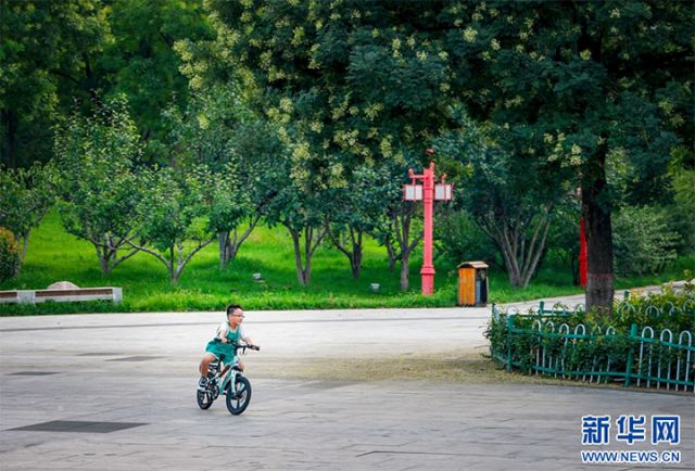 圖5 一名小朋友在硝河游園內(nèi)騎車.jpg