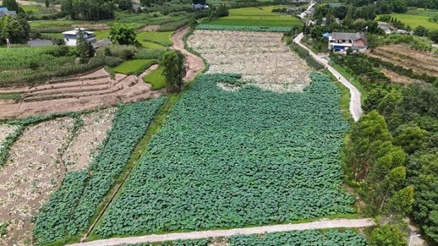 1752742643958138.jpg 圖1.jpg