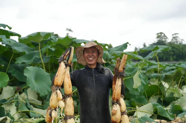 1752742665213437.jpg 圖2.jpg