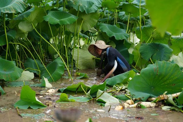 1752742673122229.jpg 圖3.jpg