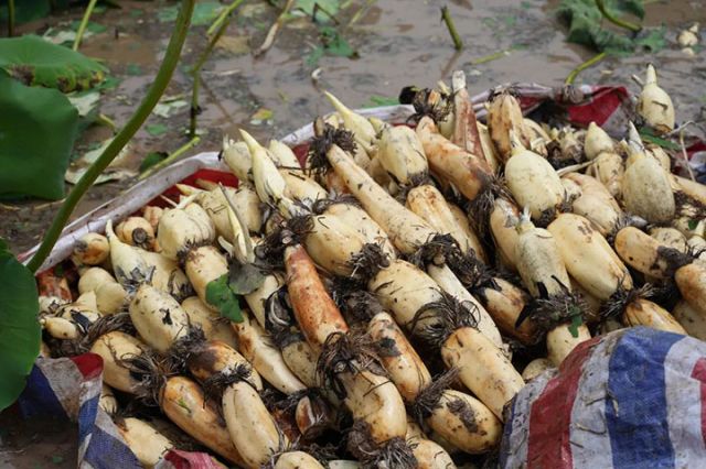 1752742688705933.jpg 圖4.jpg