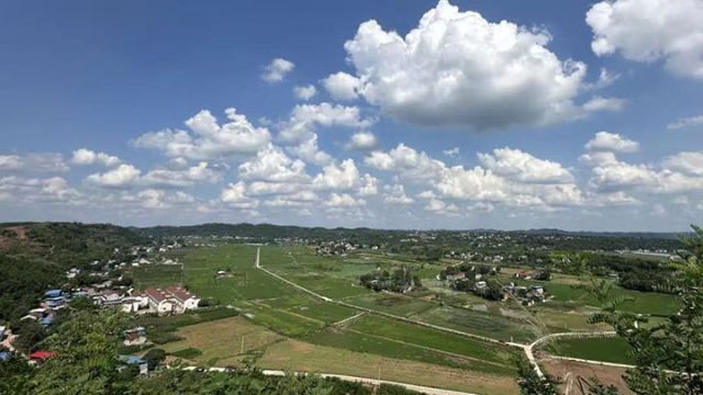 1752743132771589.jpg 圖4 馬蹄灣糧經(jīng)復(fù)合現(xiàn)代農(nóng)業(yè)園區(qū).jpg