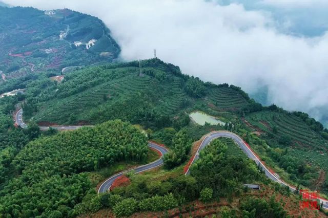 圖2  “竹海霧崖”上的農(nóng)村公路。 &nbsp;廖勝春 攝.jpg