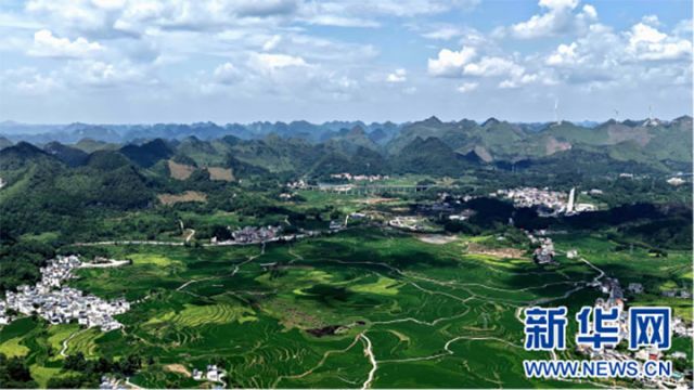 圖1  俯瞰廣西南丹縣芒場(chǎng)鎮(zhèn)巴平梯田巨幅稻田畫。高東風(fēng) 攝 拷貝.jpg