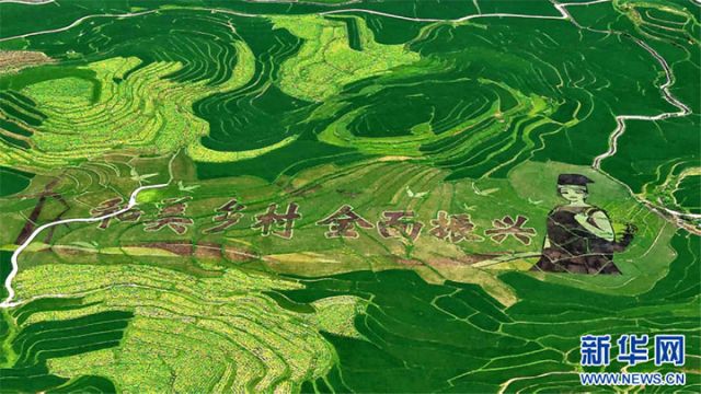 圖4  俯瞰廣西南丹縣芒場(chǎng)鎮(zhèn)巴平梯田巨幅稻田畫。高東風(fēng) 攝 拷貝.jpg