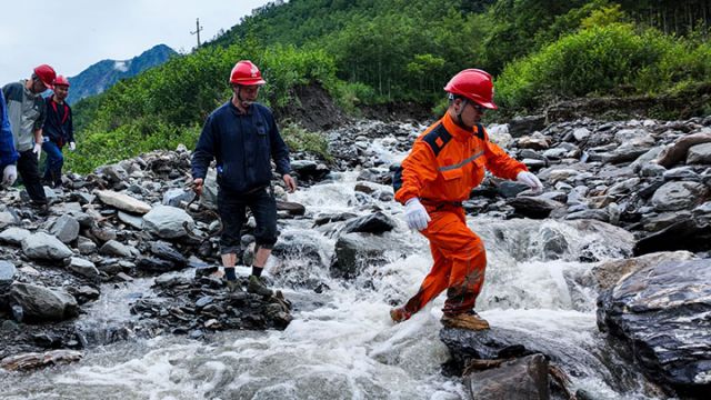 圖片一： 杜?。ㄓ乙唬?jpg